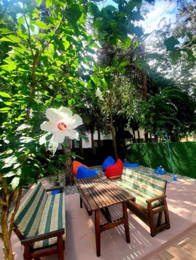 Rb Apartment 1 Palic Bagian luar foto